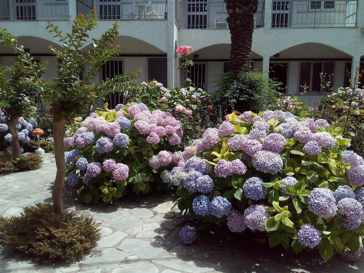 Aparthotel Margarita *
